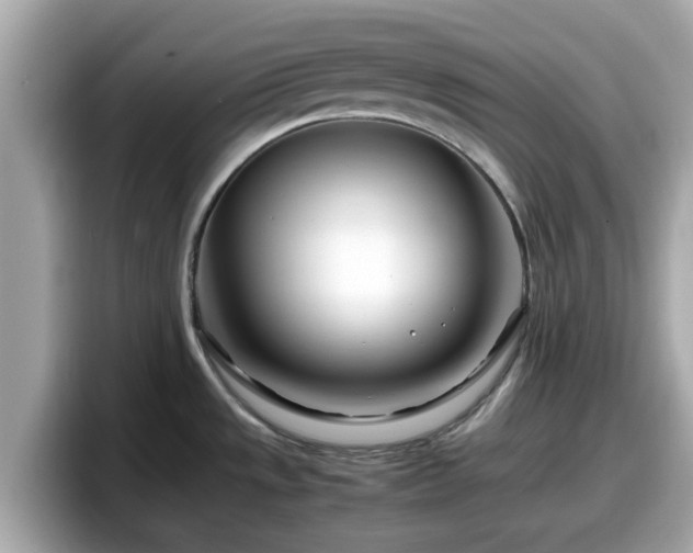 X0000098081533200804110932