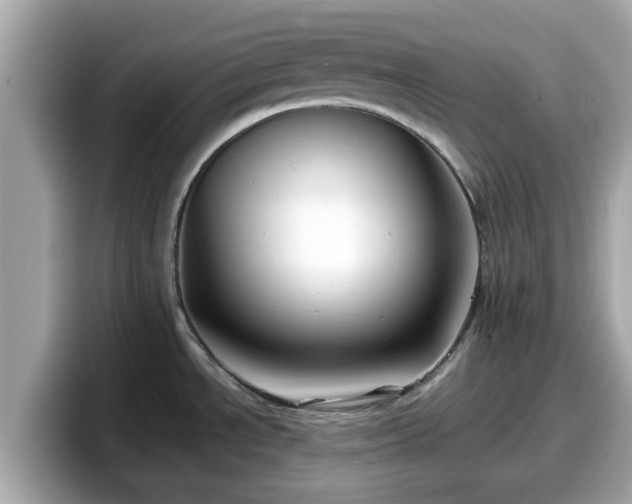 X0000098081534200804110932