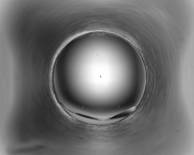 X0000098081536200804110932