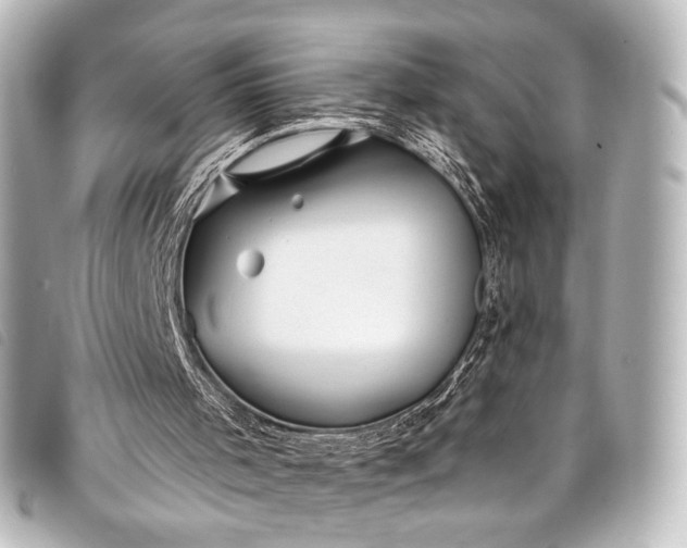 X0000098080001200804181211