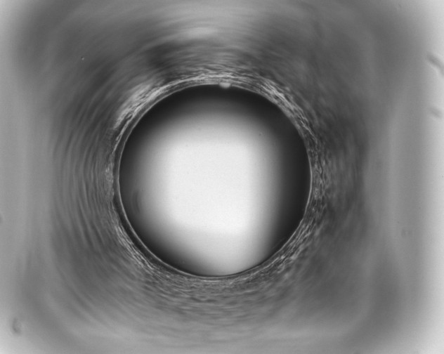 X0000098080002200804181211