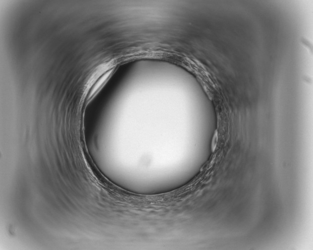 X0000098080003200804181211