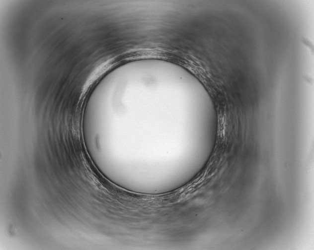 X0000098080004200804181211