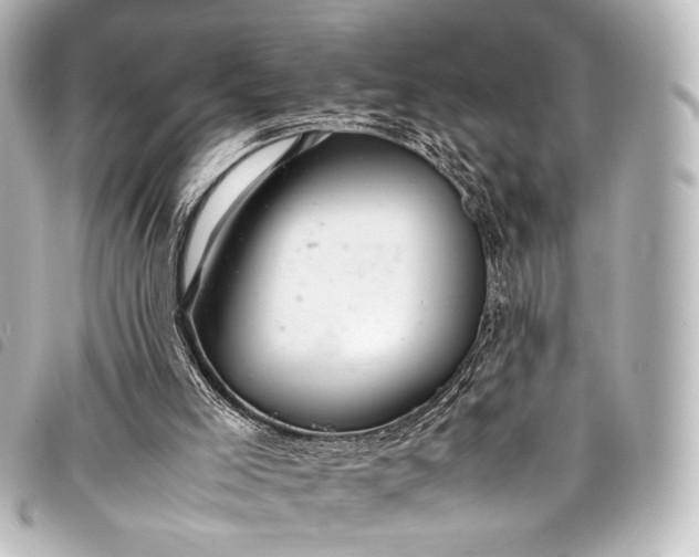 X0000098080005200804181211