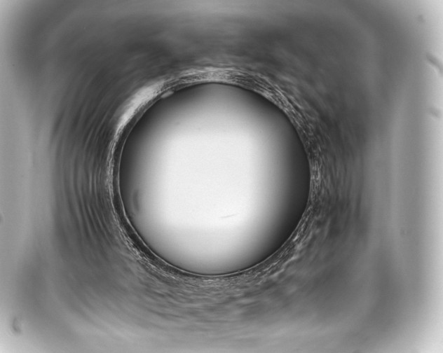 X0000098080006200804181211