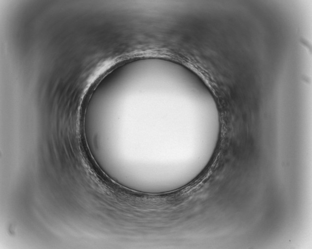 X0000098080008200804181211