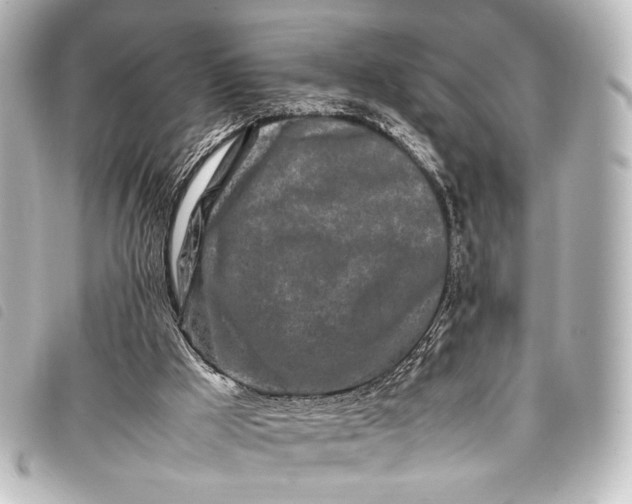 X0000098080009200804181211