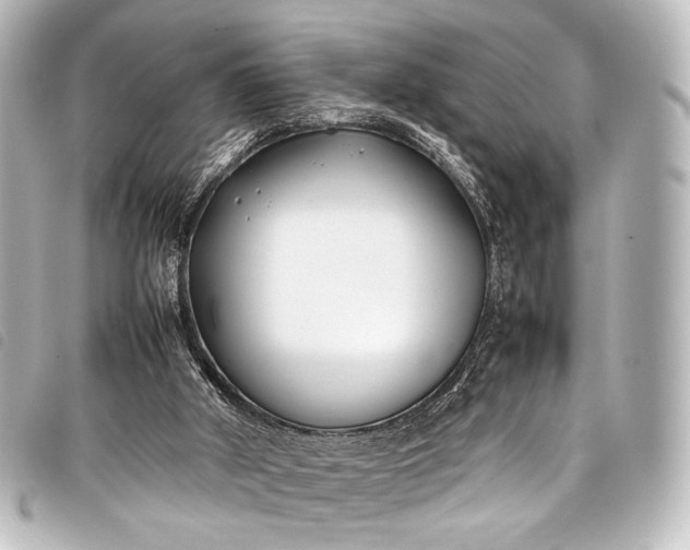 X0000098080010200804181211