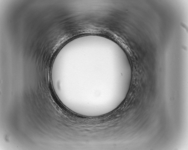 X0000098080011200804181211