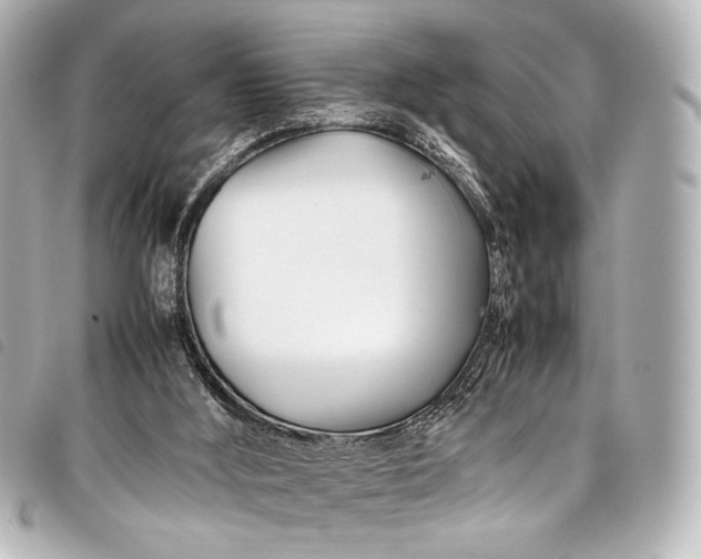 X0000098080012200804181211