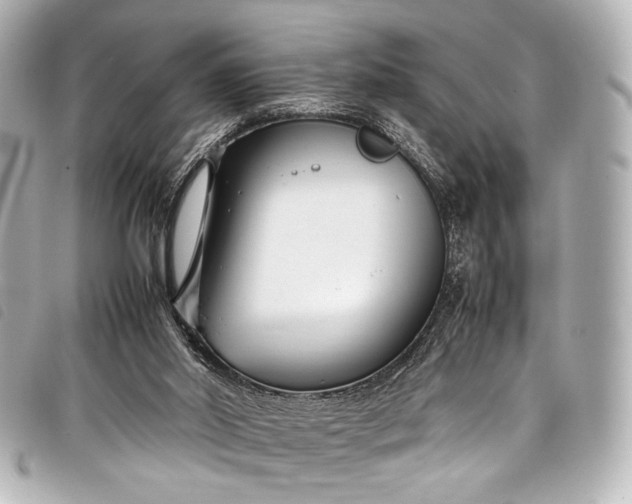 X0000098080014200804181211