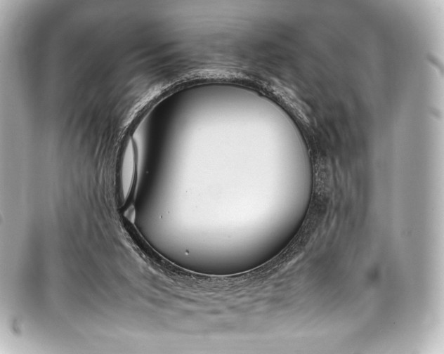 X0000098080015200804181211