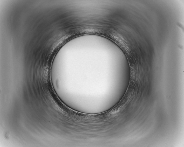 X0000098080016200804181211