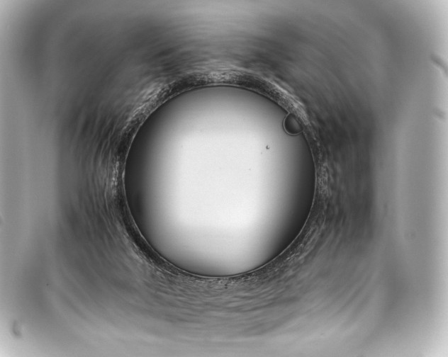 X0000098080018200804181210