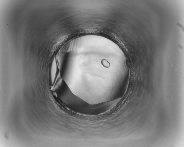 X0000098080019200804181210