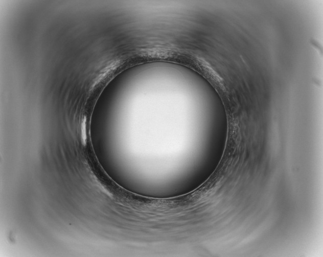 X0000098080020200804181210