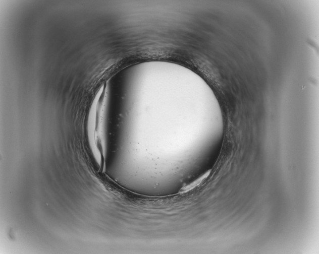 X0000098080021200804181210