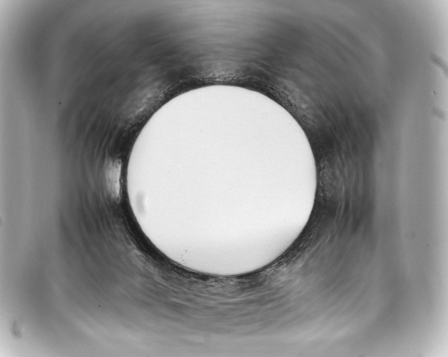 X0000098080024200804181210