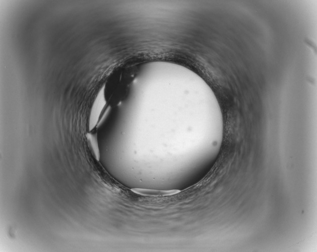 X0000098080025200804181210