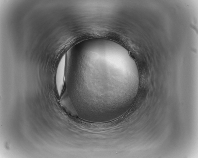 X0000098080027200804181210