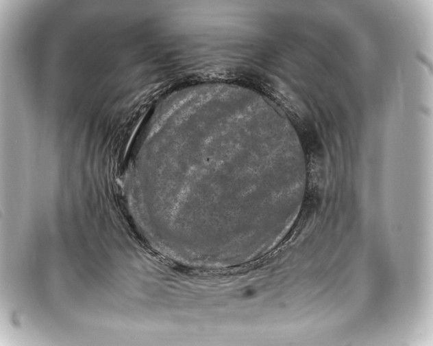 X0000098080029200804181210