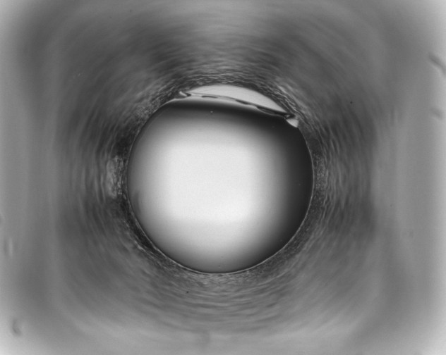 X0000098080030200804181210