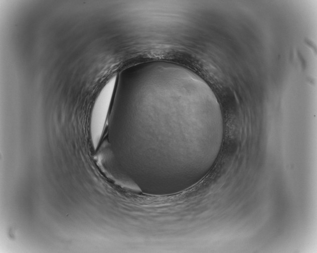 X0000098080031200804181210