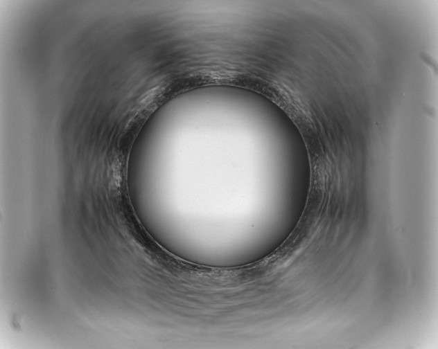 X0000098080032200804181210