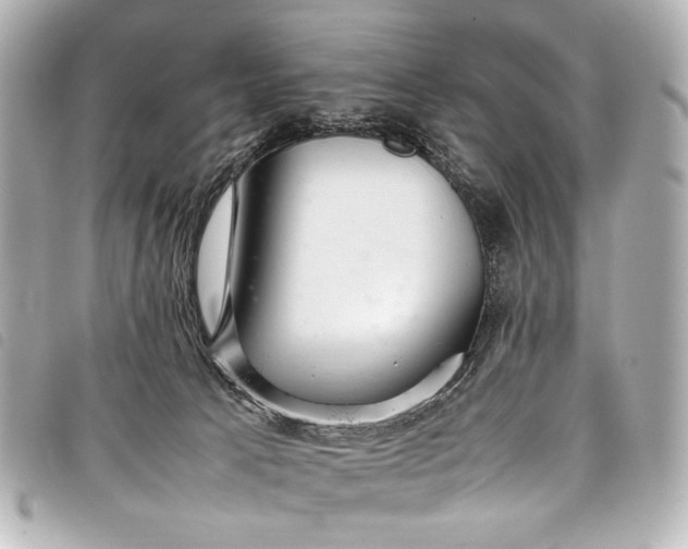 X0000098080033200804181210