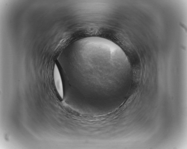 X0000098080035200804181210