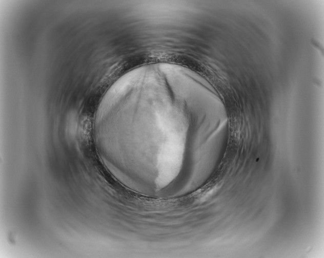 X0000098080036200804181210