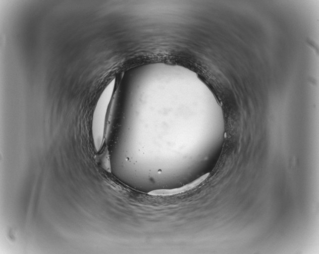 X0000098080037200804181210