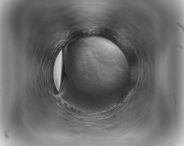 X0000098080039200804181210