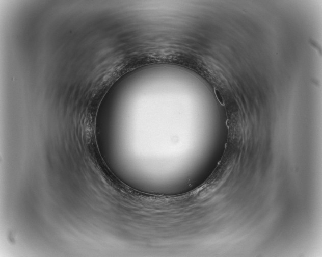 X0000098080040200804181210