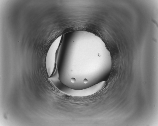 X0000098080041200804181210