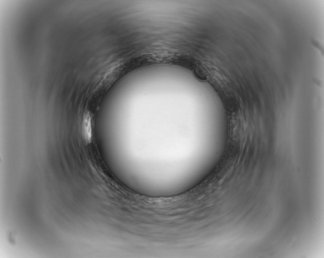 X0000098080042200804181210