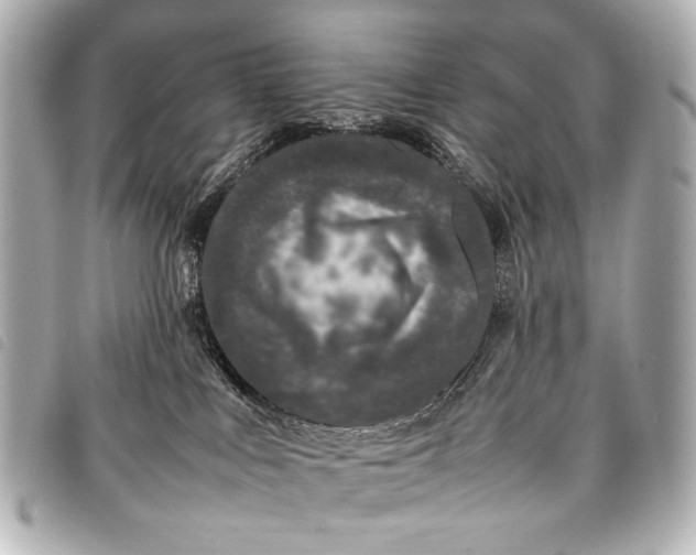 X0000098080043200804181210