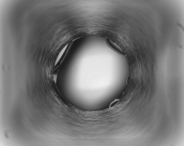 X0000098080044200804181210