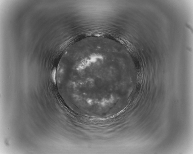 X0000098080047200804181210