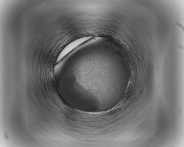 X0000098080048200804181210