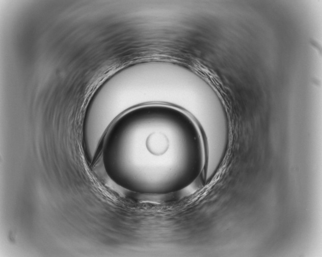 X0000098080049200804181209