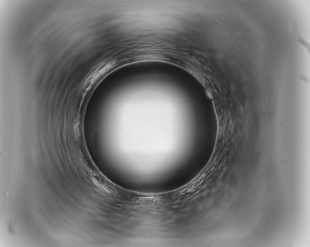 X0000098080050200804181209