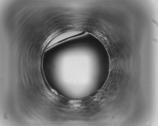 X0000098080051200804181209