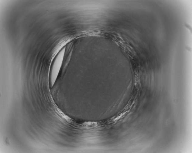 X0000098080052200804181209