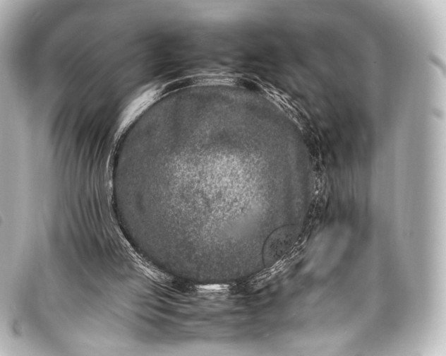 X0000098080053200804181209