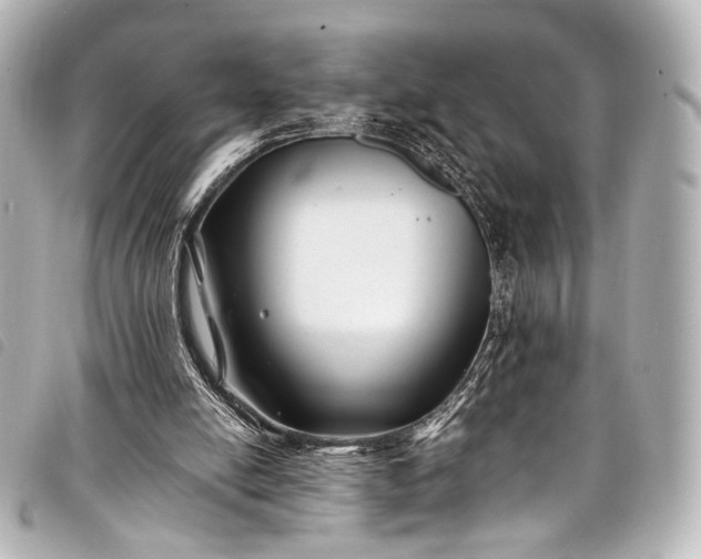 X0000098080054200804181209