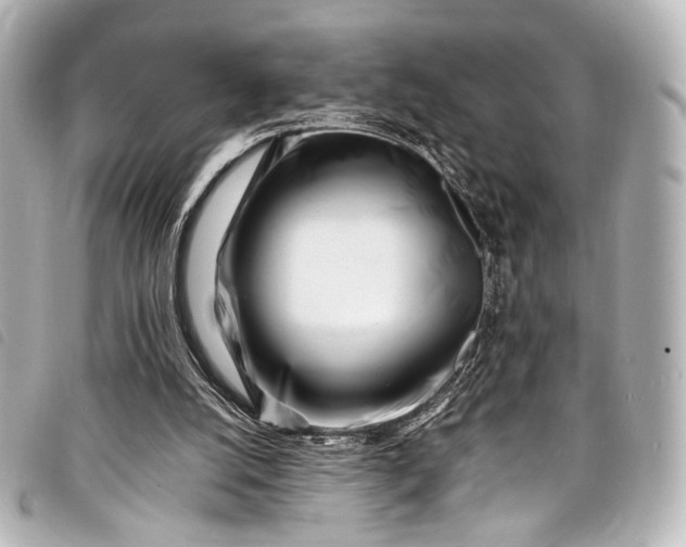 X0000098080056200804181209