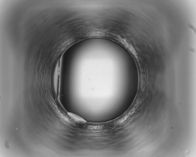 X0000098080057200804181209