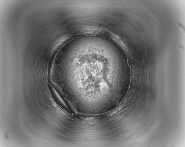 X0000098080058200804181209