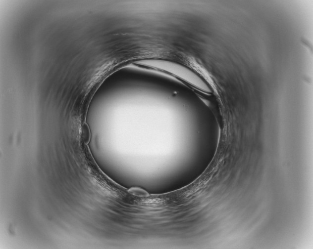 X0000098080059200804181209